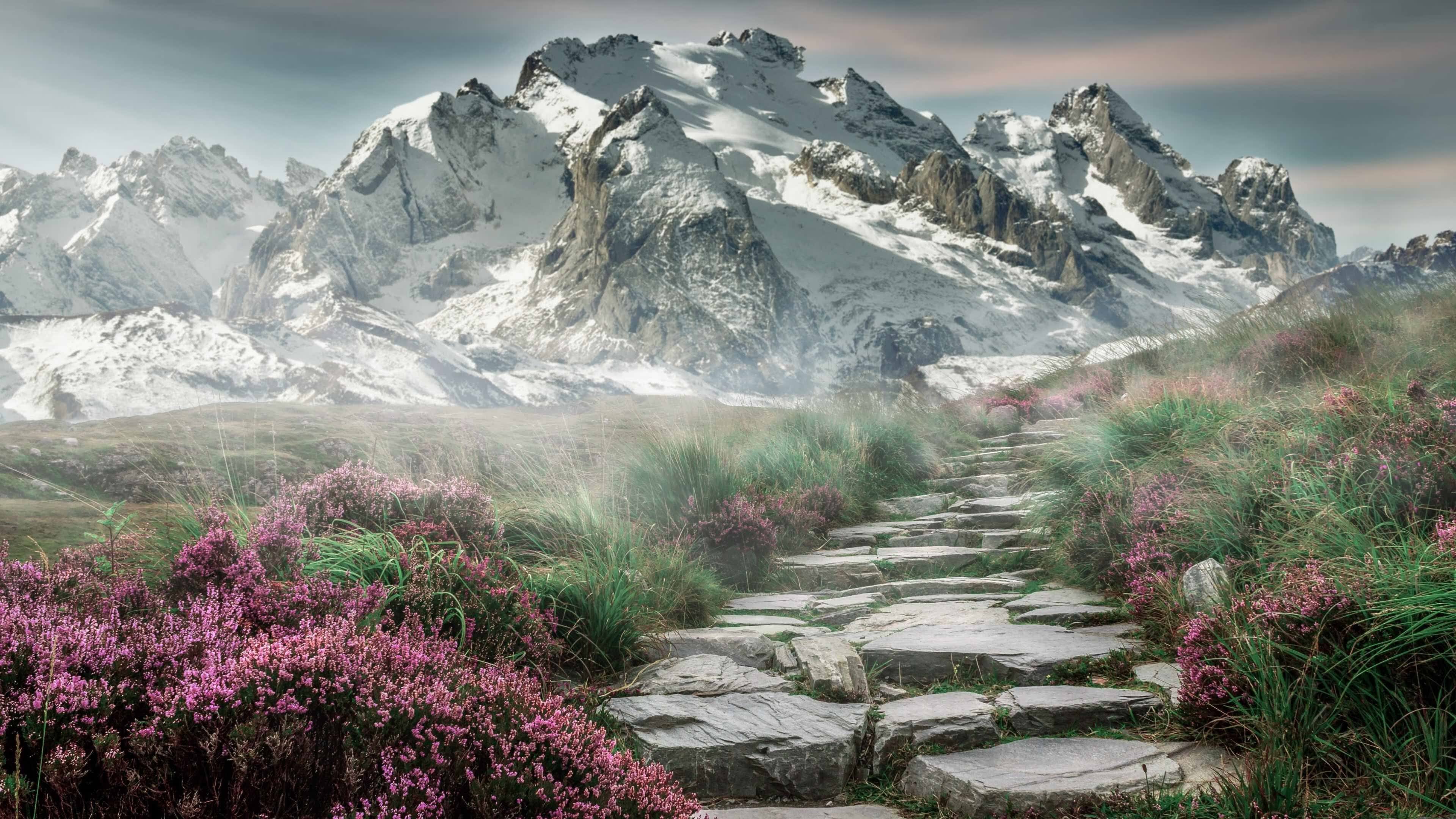 v7.2.5 新版正式发布，以智能、稳定与效率，开启2026年新篇章