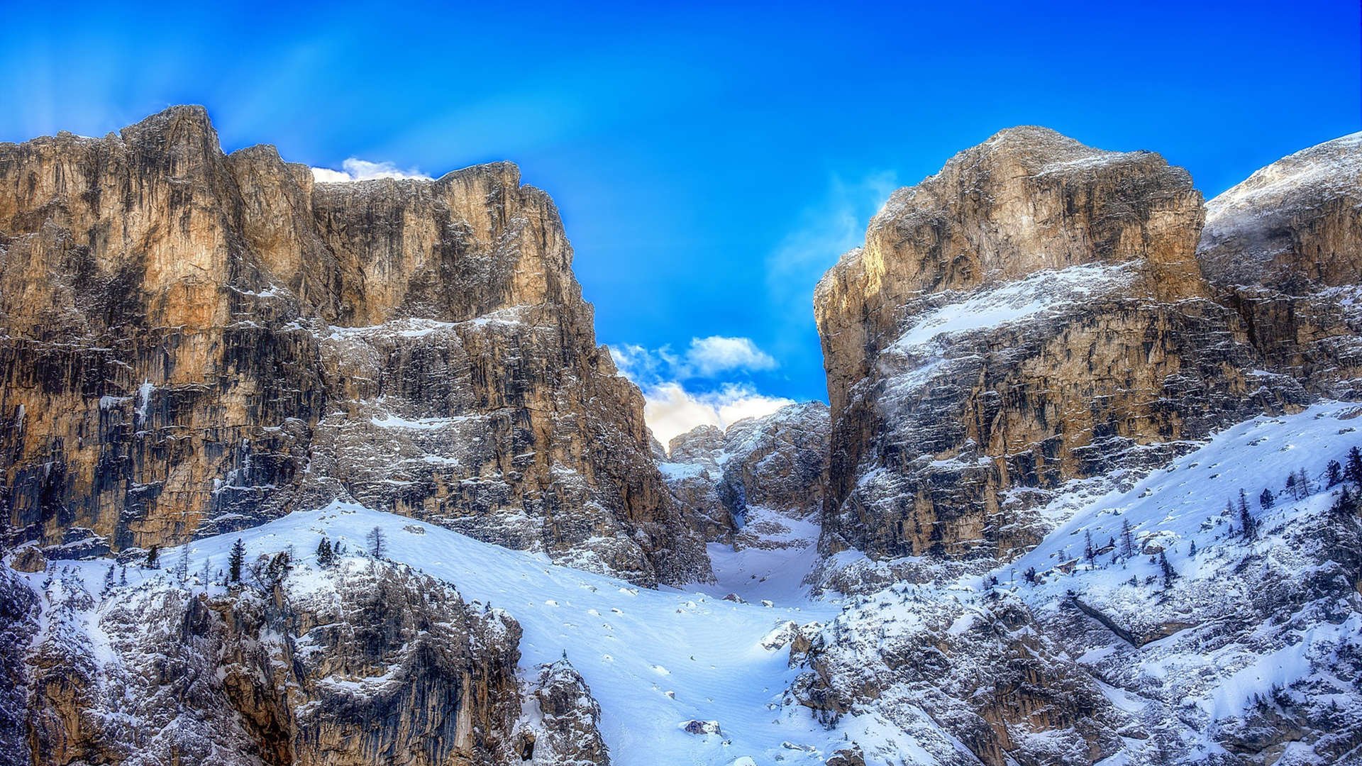 全面优化，体验升级—v7.2.5 版本更新说明（2026年3月19日）